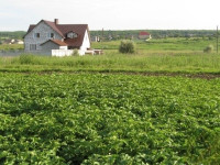 Продается участок, ул. Земледельческая арт 2647