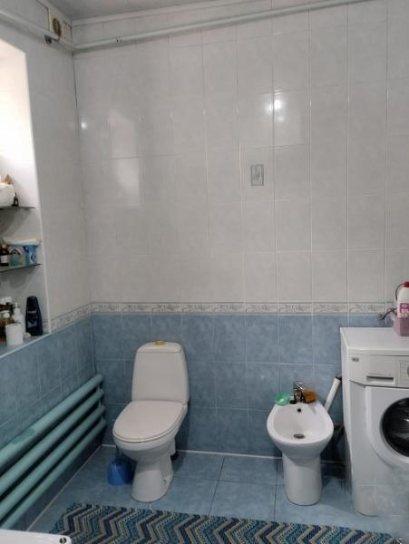 Продается 3 - х комнатный дом, село Луганское арт 4070