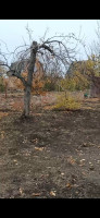 Продается дача, Авдотьино арт 3825