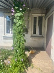 Продается дом, ул. Мурманская арт 2676