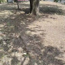 Продаётся 2 - х комнатный финский дом, арт. 4714