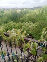 Продается 3 - х комнатная квартира, пр. Мира арт 2321