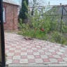 Продается 3 - х комнатный дом, ул. Шестакова, арт. 5456