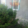 Продается дом, ориентир Шахта 12/18, арт. 4615
